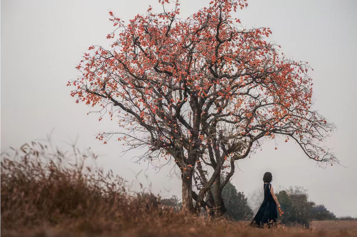《秋天的味道》秋天来了，很自然的想起那条街——西单牌楼