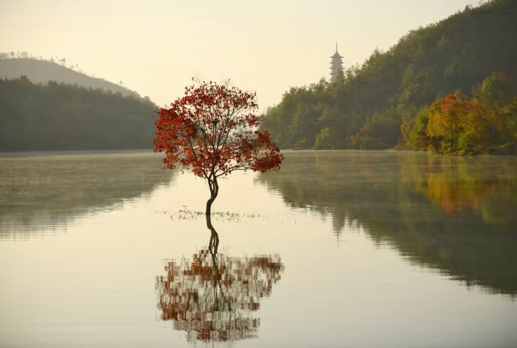 《励志短文》人生没有最晚的开始正如太阳升起的那一刻