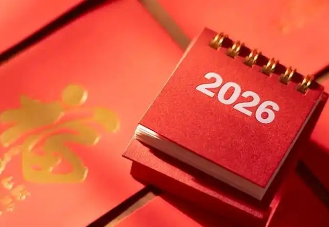 一转眼，2025年已成为了历史，在过去的这一年，你过得怎么样？